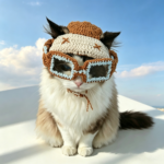 Pet headgear - Cat pilot hat - Image 4